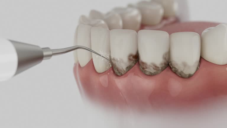 Reliable Dental contractor in Ontonagon, MI by Dentist Open Now